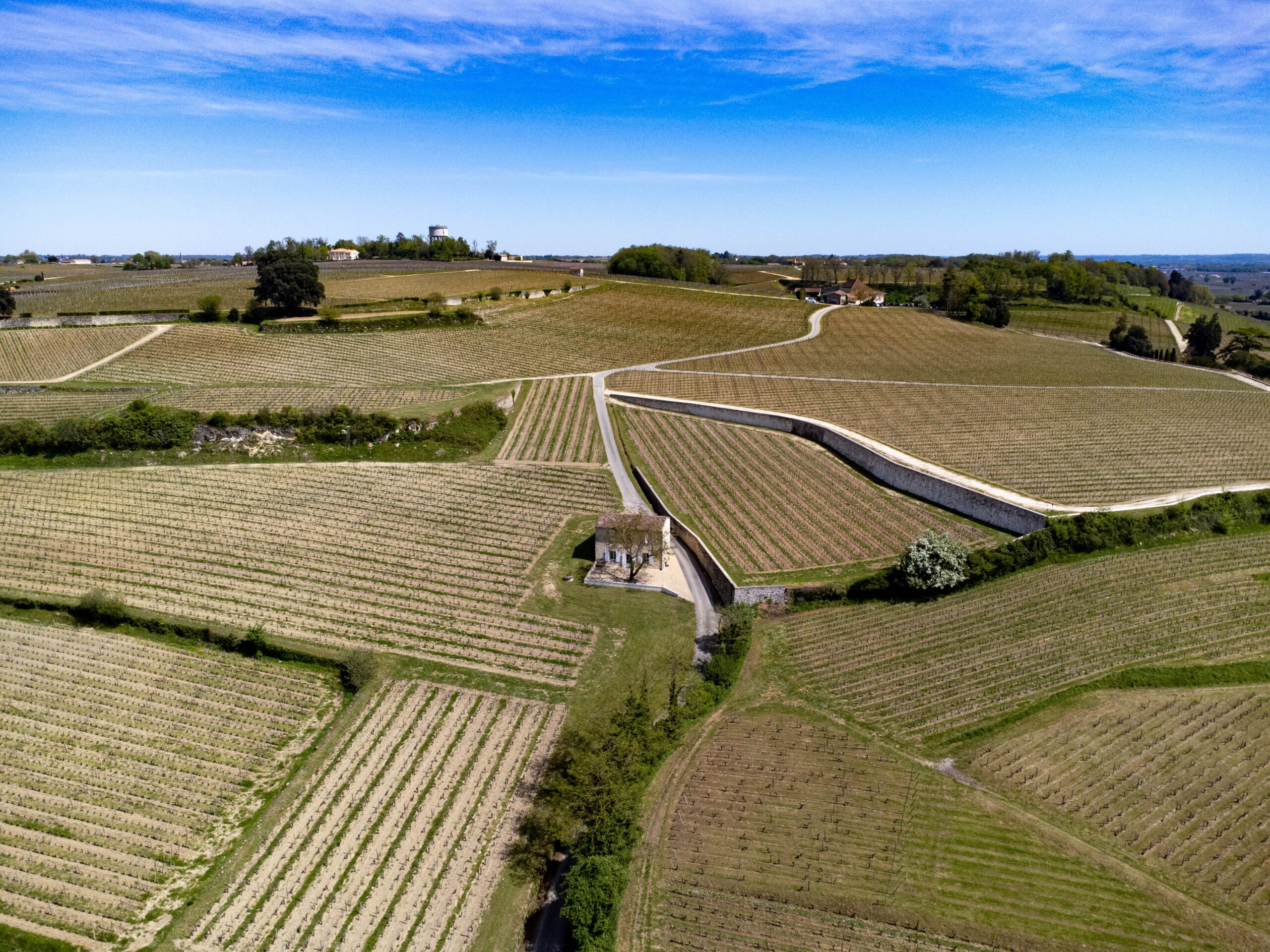 Bordeaux vineyard